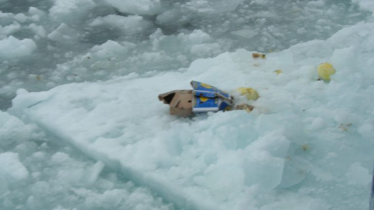 Alle Lebensräume der Arktis sind mit Plastik vermüllt. Schädlich für die Umwelt – und für den Menschen.