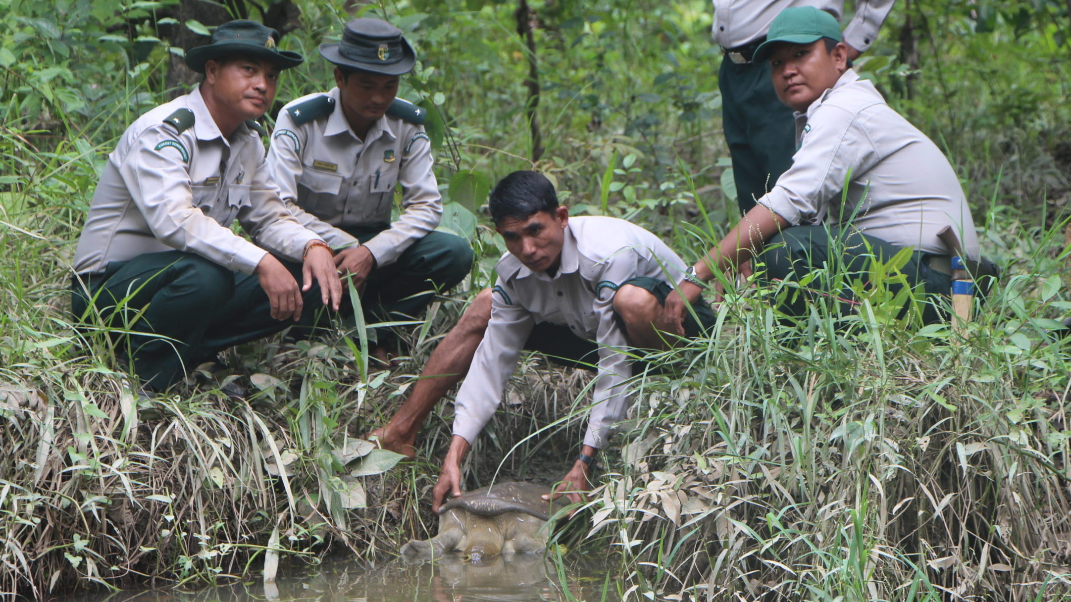 Waldhüter bei der Arbeit in Chatthin Wildlife Schutzgebiet, Myanmar.