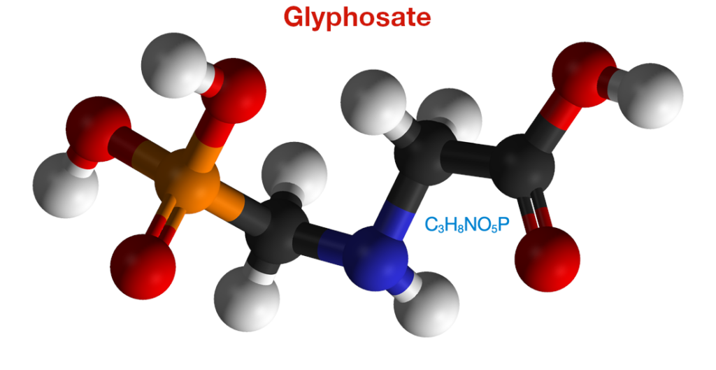 Die europäische Behörde für Lebensmittelsicherheit (Efsa) hält den Einsatz des Unkrautvernichters Glyphosat für unbedenklich.